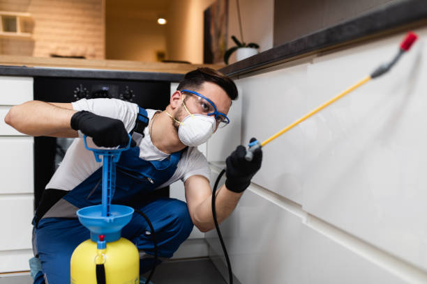 Best Affordable Pest Control Services  in Geneva, NY