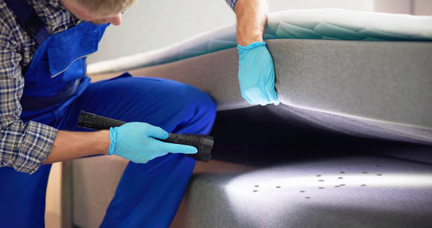 Best Residential Pest Control  in Geneva, NY
