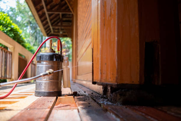Best Ant Control Services  in Geneva, NY