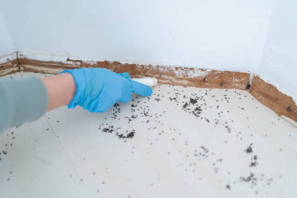 Geneva, NY Pest Control Company