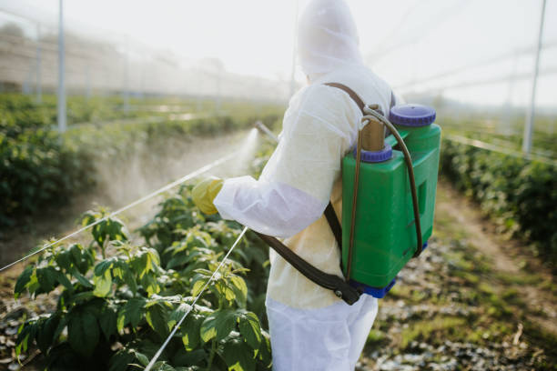 Best Emergency Pest Control  in Geneva, NY